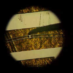 waffer_flexure1.jpg (23563 bytes)