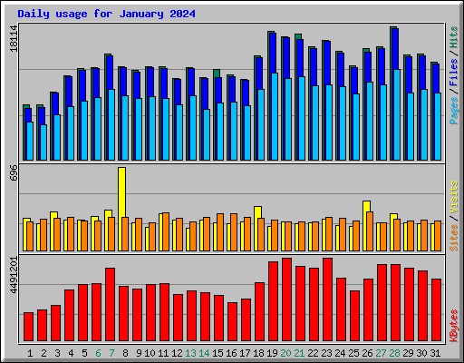 Daily usage for January 2024