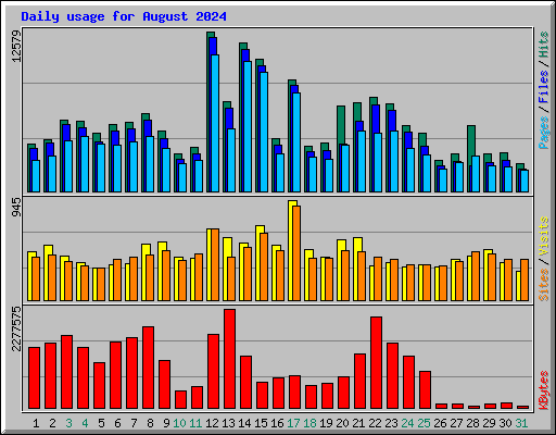 Daily usage for August 2024