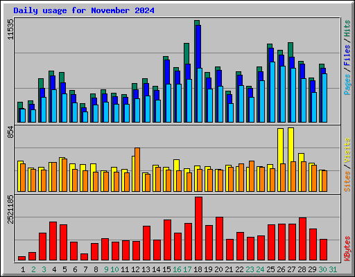 Daily usage for November 2024