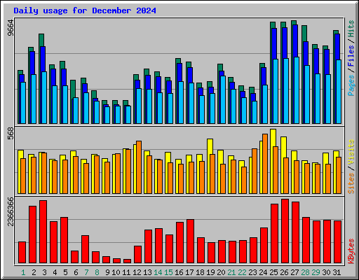 Daily usage for December 2024