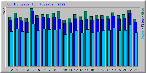 Hourly usage for November 2022