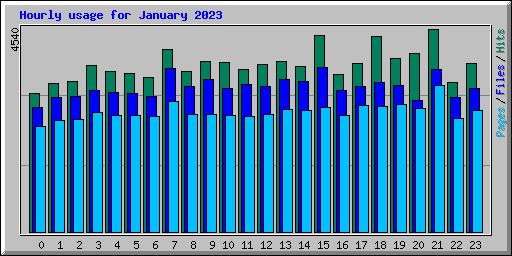 Hourly usage for January 2023