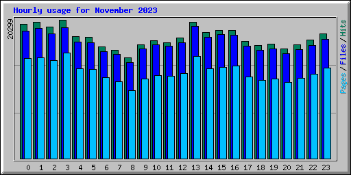 Hourly usage for November 2023