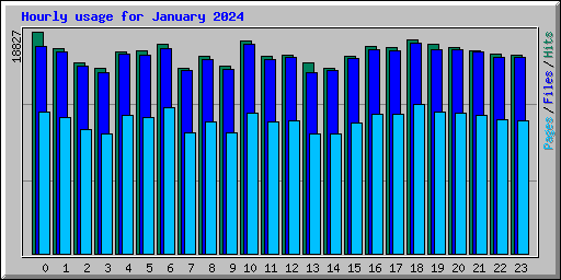 Hourly usage for January 2024