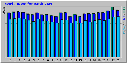 Hourly usage for March 2024