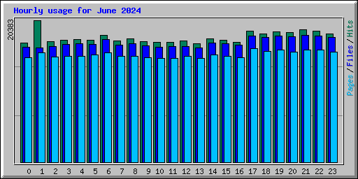 Hourly usage for June 2024