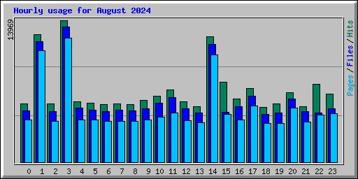 Hourly usage for August 2024