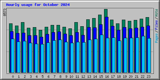 Hourly usage for October 2024