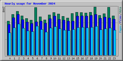 Hourly usage for November 2024