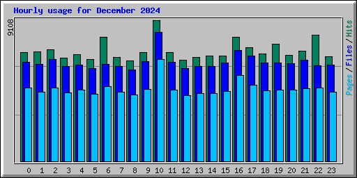 Hourly usage for December 2024