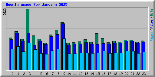 Hourly usage for January 2025