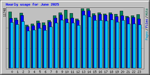 Hourly usage for June 2025