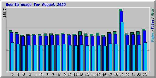 Hourly usage for August 2025