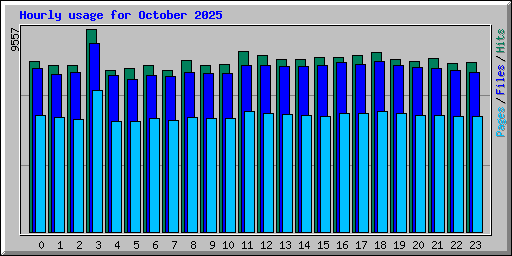 Hourly usage for October 2025