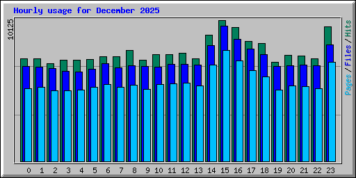 Hourly usage for December 2025
