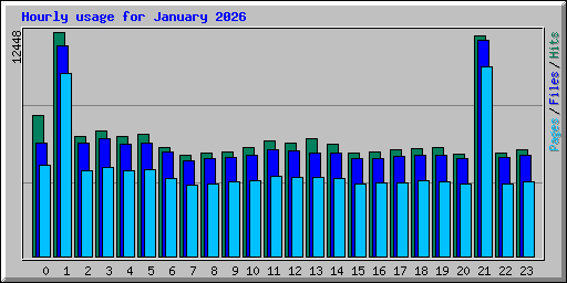 Hourly usage for January 2026