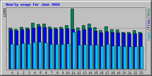 Hourly usage for June 2026